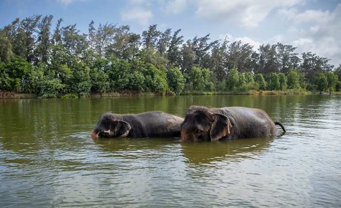 vantara jamnagar photos