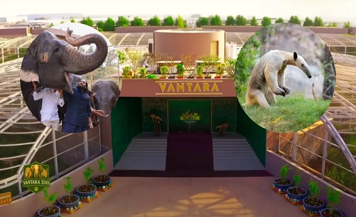 vantara zoo ticket price