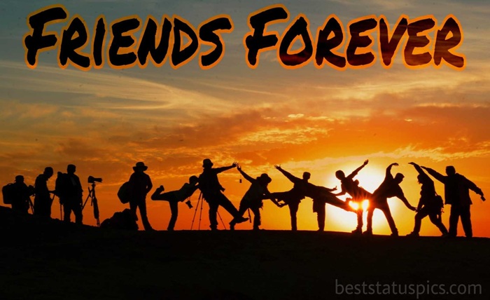 friends group dp