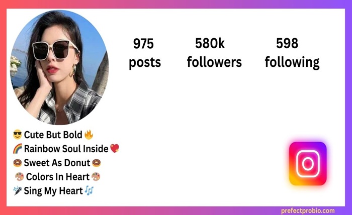instagram bio style